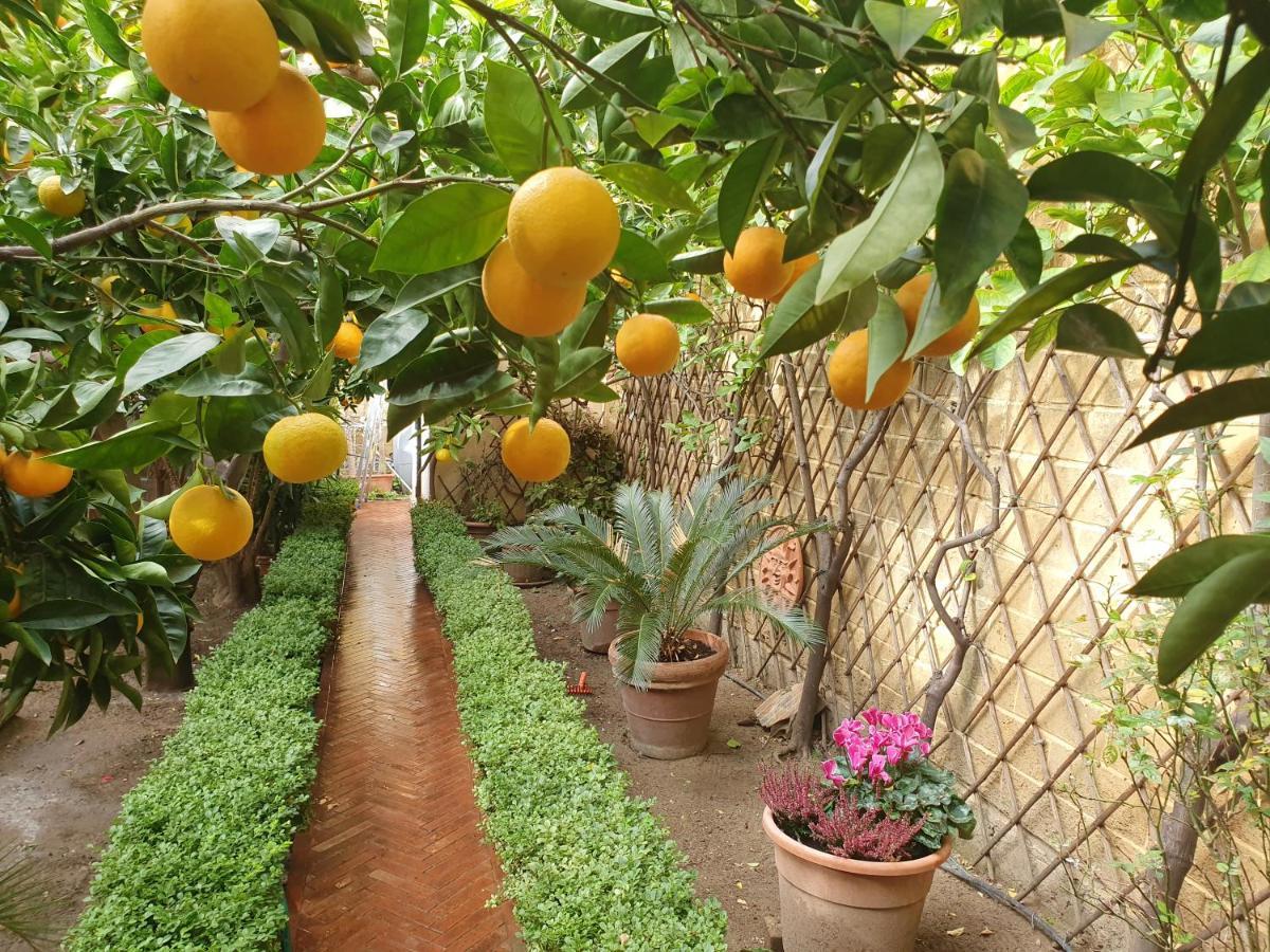 Villa Goethe Agrigento Dış mekan fotoğraf